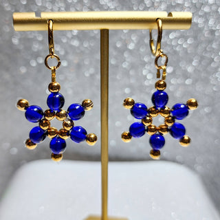 Royal Gifted Star Earrings